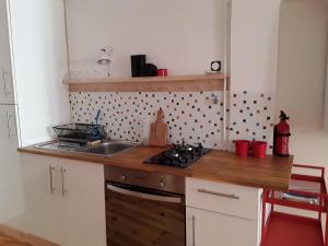 cocina con fregadero y fogones horno superior en Le Velo Rouge, en Le Puy en Velay