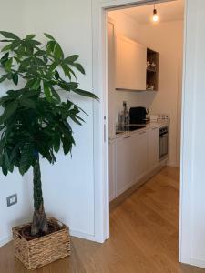 A kitchen or kitchenette at RELAIS NANNI HOME