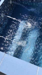 a pool of water with a dolphin in it at Sobrado com Piscina Perto Praia in Caraguatatuba