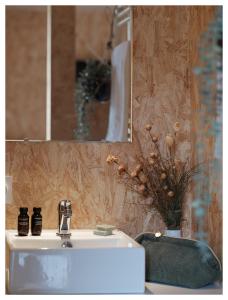 a bathroom with a sink and a mirror and a sink at Volvic Organic Resort in Volvic
