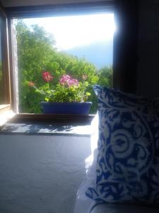 a window with a pot of flowers on a window sill at La Casa de la Bombilla Verde in Trevélez