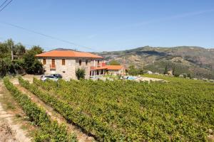 Afbeelding uit fotogalerij van Quinta do Passadiço in Lamego +53 foto's