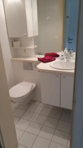 a white bathroom with a toilet and a sink at Golfo d'Oro in Ascona +7 photos