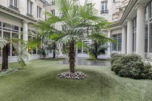 a palm tree in a yard in front of a building at Bail Mobilité Appartement, Place Vendome, Opera in Paris