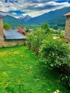 Peisaj natural din apropierea acestei pensiuni