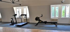 Fitness centrum a/nebo fitness zařízení v ubytování Château Origny - Moulins