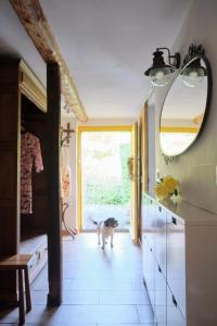 a dog walking through a kitchen with a window at Czereśniowy Dom in Jarkowice +43 photos