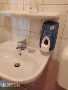 Kúpeľňa v ubytovaní Tókert Vendégház