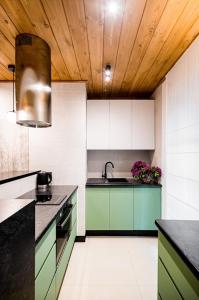 Kuchyňa alebo kuchynka v ubytovaní Apartament Wenecja