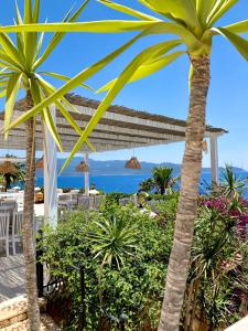a view of the beach from a resort with palm trees at Villa Hotel Tamara in Kaş
