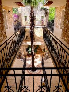 Фотография из галереи Villa Hotel Tamara в Каше