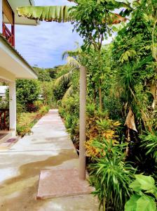 a walkway in a garden with trees and plants at Lucy's guesthouse in La Digue