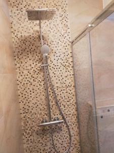 a shower with a microphone in a bathroom at Hunyadi Luxury Dna Stanca 1 in Sibiu +12 photos