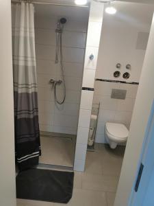 een badkamer met een douche en een toilet bij Ferienwohnung Annashome in Maxhütte-Haidhof