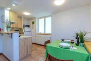 Kuchyňa alebo kuchynka v ubytovaní Studio Apartment Paljar