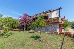 Vonkajšia záhrada v ubytovaní Studio Apartment Paljar