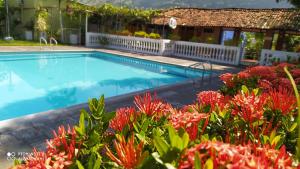 a swimming pool with red flowers in front of a house at Meson Hondano in Honda