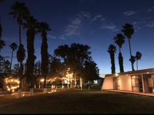 un edificio con palmeras y luces por la noche en OYO Hotel Oasis, Matehuala en Matehuala