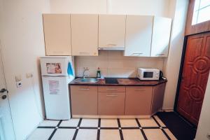 烏日霍羅德的住宿－Wonderful flat on city center (10)，一间带冰箱和水槽的小厨房