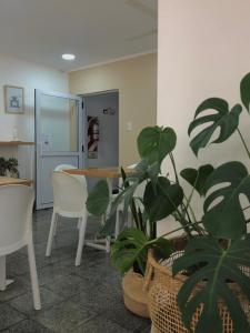 a room with a table and a potted plant at Residencia del Norte in Federación