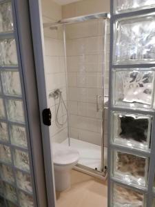 コラレホにあるApartamentos lidiaのバスルーム(トイレ、ガラス張りのシャワー付)