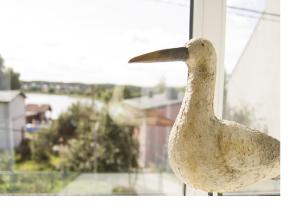 Zwierzęta w apartamencie lub w pobliżu
