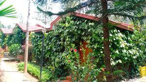 Zahrada ubytování Coorg Nest Cottages By Dreamy Vacations