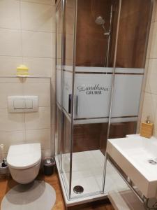 ein Bad mit einer Dusche und einem WC in der Unterkunft Landhaus Gruber Winter in Alpendorf