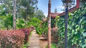 Zahrada ubytování Coorg Nest Cottages By Dreamy Vacations