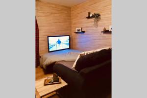 TV a/nebo společenská místnost v ubytování Gîte Authentic Ardenne