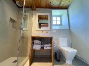 a bathroom with a toilet and a sink and a shower at Casa Rural As Bodegas - Boal in Boal