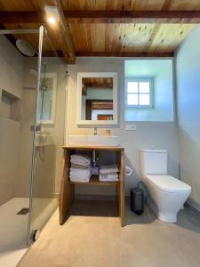 a bathroom with a sink and a toilet and a shower at Casa Rural As Bodegas - Boal in Boal