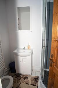 La salle de bains est pourvue d'un lavabo blanc et de toilettes. dans l'établissement Pensiunea Bontos, à Budeşti