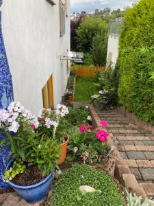 ogród z kwiatami i roślinami na dziedzińcu w obiekcie Ferienwohnung Nele w mieście Waldesch