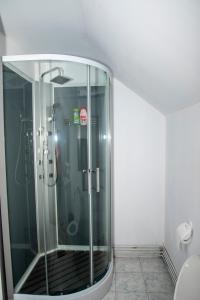 a glass shower in a bathroom with a toilet at Pensiunea Bontos in Budeşti