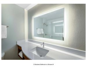 een badkamer met een wastafel en een spiegel bij Holiday Inn Express & Suites Colorado Springs-Airport, an IHG Hotel in Colorado Springs