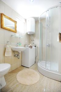 a bathroom with a shower and a sink and a toilet at Apartment Primera in Zadar