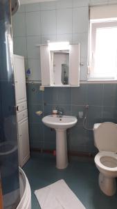 Een badkamer bij Apartmani Tomovic