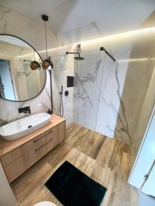 W łazience znajduje się umywalka oraz prysznic z lustrem. w obiekcie Kima Apartament Bażantów 29 w mieście Katowice