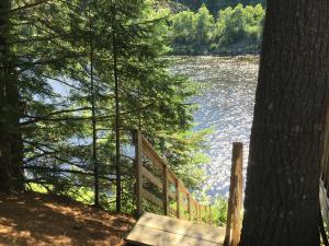 a bench sitting between two trees next to a river at Riverfront Rustic Cottage in Durham Bridge