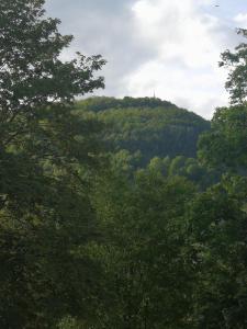 a view of a mountain with trees in the foreground at Einzelzimmer *Am Bronnwiesle* in Deggingen