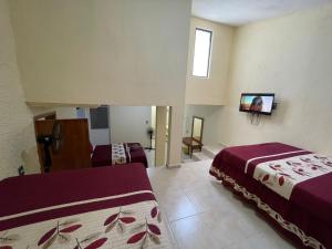 a room with two beds and a tv on the wall at Casa de Hu&eacute;spedes May in Ixtapan de la Sal