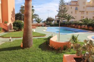 un palmier et une piscine dans une cour dans l'établissement Apartamento en primera línea de playa, con vistas a la playa y con wifi, à Roquetas de Mar