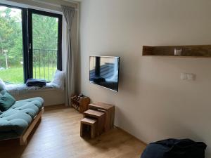 a living room with a couch and a tv on a wall at Apartmán Anna Viktoria v Brčálníku in Frischwinkel