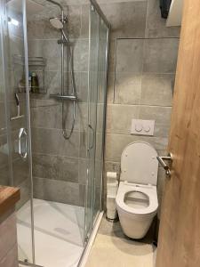 Koupelna v ubytování Apartmán Anna Viktoria v Brčálníku + 32 fotografií