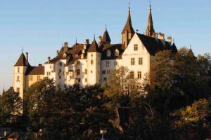 un gran castillo en la cima de una colina en Beautiful Cocoon, en Neuchâtel