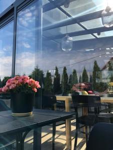 Balkón nebo terasa v ubytování WILLA MAGNOLIA - Apartamenty i Pokoje - ROWERY, POKÓJ ZABAW, KAWA Z EKSPRESU