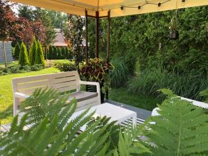Zahrada ubytování WILLA MAGNOLIA - Apartamenty i Pokoje - ROWERY, POKÓJ ZABAW, KAWA Z EKSPRESU