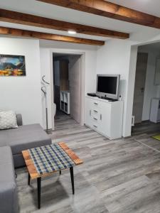 a living room with a couch and a tv at Haus Schneider in Kappel-Grafenhausen