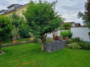a garden with a tree and a stone wall at Haus Schneider in Kappel-Grafenhausen